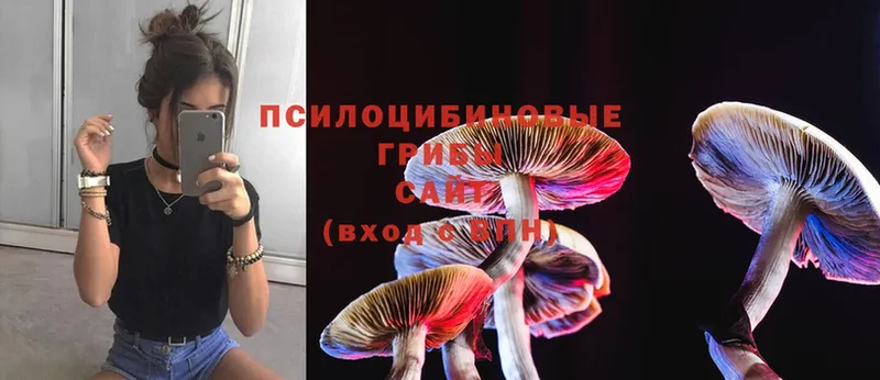 Псилоцибиновые грибы Magic Shrooms  Бугульма 